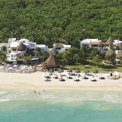 A beach with many umbrellas and some trees